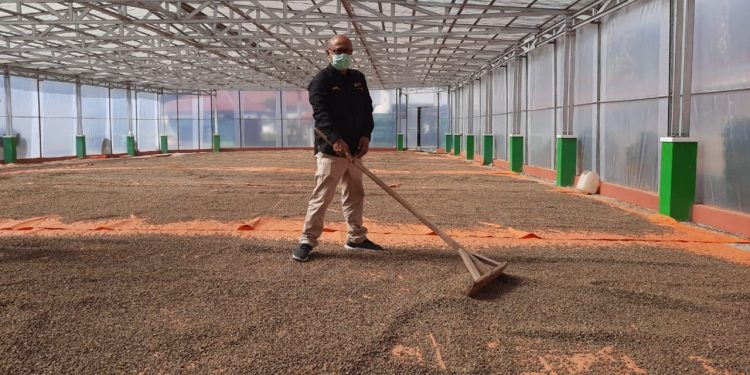 Keterangan Foto :
Fajar Wibhiyadi, Direktur Utama PT Kliring Berjangka Indonesia (Persero), tengah meninjau salah satu gudang Kopi di Aceh. Kopi merupakan salah satu komoditas yang masuk dalam Sistem Resi Gudang.