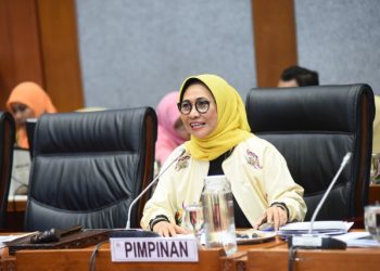 Wakil Ketua Komisi X DPR RI Hetifah Sjaifudian. Foto: Jaka/Man