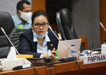 Wakil Ketua Komisi X DPR RI Agustina Wilujeng. Foto: Jaka/Man