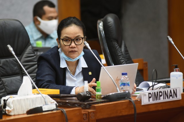 Wakil Ketua Komisi X DPR RI Agustina Wilujeng. Foto: Jaka/Man