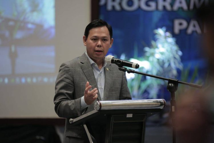Sultan B Najamudin. (Foto : website DPD RI)