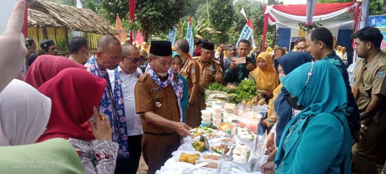 Bupati Merangin luncurkan program Dahsat. (Foto : Humas Pemkab Merangin)