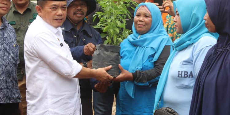 Al Haris menyerahkan bibit cabai. (Foto : Diskominfo provinsi Jambi)