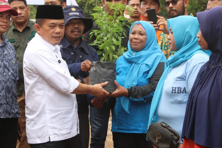 Al Haris menyerahkan bibit cabai. (Foto : Diskominfo provinsi Jambi)