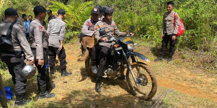 Polisi Rimba Polda Jambi Bantu cari warga yang hilang. (Foto : ist)