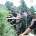 BNN RI musnahkan ganja di Aceh. (Foto : ist)