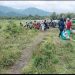 Timbunan Abu Vulkanik Gunung Kerinci Jadi Objek Wisata Dadakan. (Foto : ist)