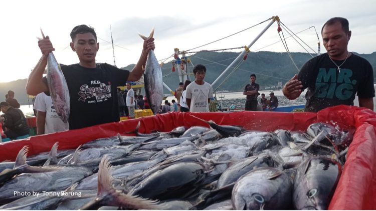 Sistem Resi Gudang Diminati Nelayan, Registrasi Resi Gudang Komoditas Ikan Meningkat Tajam. (Foto : ist)