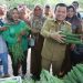 Gubernur Al Haris Luncurkan Gerakan Pangan Murah Serentak Provinsi Jambi. (Foto : ist)