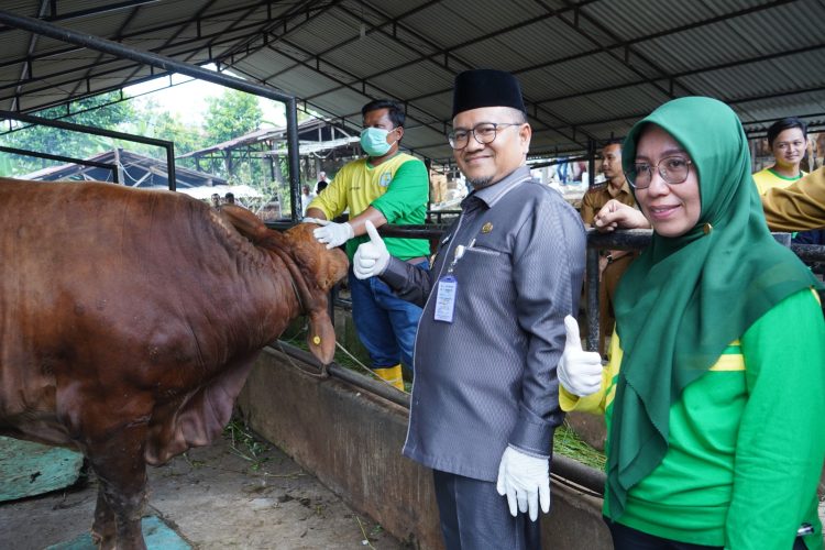 Wawako Maulana Lepas 40 Petugas Kesehatan Hewan. (Foto : ist)