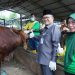 Wawako Maulana Lepas 40 Petugas Kesehatan Hewan. (Foto : ist)