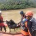 Kakek yang Tenggelam di Sungai Merangin Ditemukan Sejauh 15 Km. (Foto : ist)