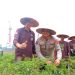 Kabid Humas Polda Jambi Hadiri Panen Cabe di Muarojambi. (Foto : ist)