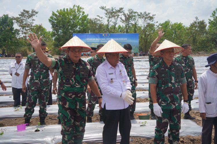 Pangdam II/Swj Ikuti Tanam Perdana Cabe di Jambi. (Foto : ist)