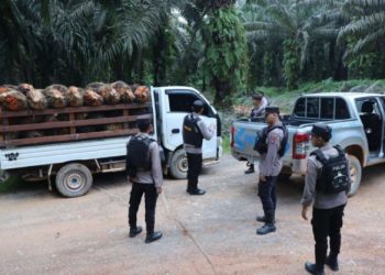 Cegah Penjarahan Sawit, Polda Kalteng Bersama Polres Seruyan Imbau Masyarakat dan Tingkatkan Patroli Dialogis. (Foto : ist)