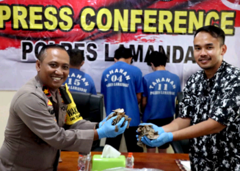 Polres Lamandau Amankan 3 Terduga Pelaku dan Sita 223 Kg Sisik Trenggiling. (Foto : ist)