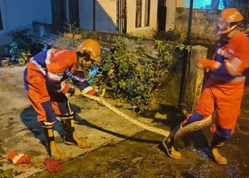 Personil Disdamkartan Kota Jambi Evakuasi Ular di Plafon Rumah Warga. (Foto : ist)