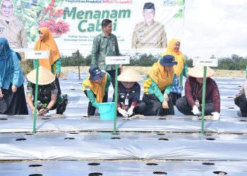 Aksi Nyata Kendalikan Inflasi, Pj Wali Kota Jambi Galakkan Gerakan Ayo Menanam. (Foto : ist)