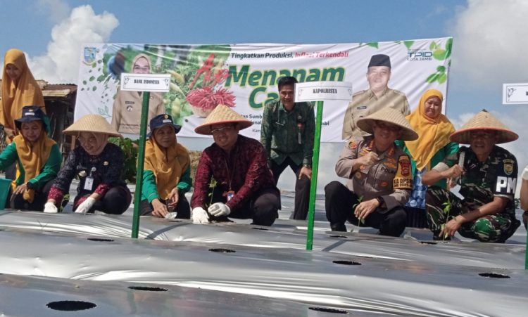 Kapolresta Ikuti 'Ayo Menanam Cabai' Bersama Pj Wali Kota Jambi. (Foto : Rolan - sinarjambi.com)