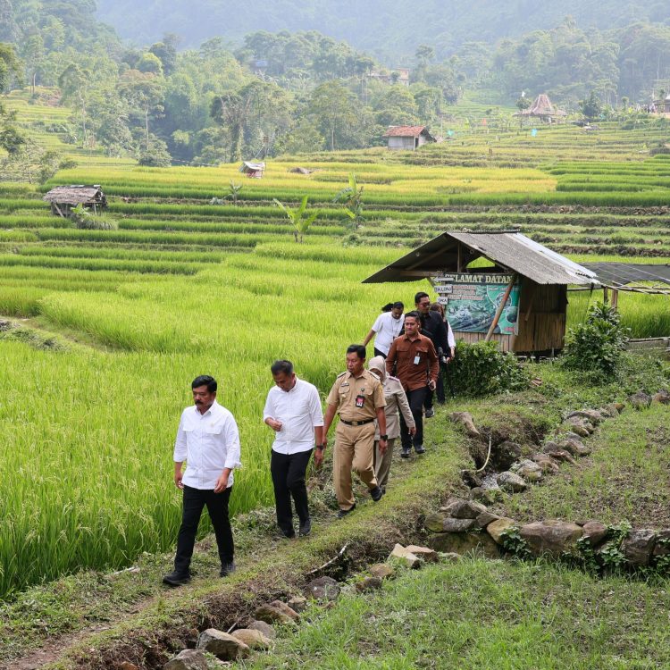 Susuri Jalan Setapak Persawahan di Desa Gunung Bunder, Menteri ATR/Kepala BPN Serahkan Sertipikat PTSL. (Foto : ist)