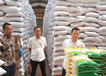 Ditreskrimsus Polda Jambi Cek Stok Beras di Gudang Bulog. (Foto : ist)