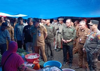 Kasatpol PP Bersama Forkopimda Dampingi Pj Bupati Merangin Sidak Harga Sembako. (Foto : ist)