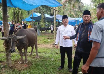 Fajarman buka Festival Bantai Adat Masyarakat Batin V Rantau Panjang. (Foto : ist)