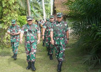 Danrem 042/Gapu Tinjau Lokasi Optimalisasi Lahan di Batanghari. (Foto : ist)
