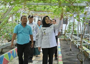 Sri Kunjungi Lokasi Calon Kampung Wisata Madu dan Anggur di Kota Jambi. (Foto : ist)