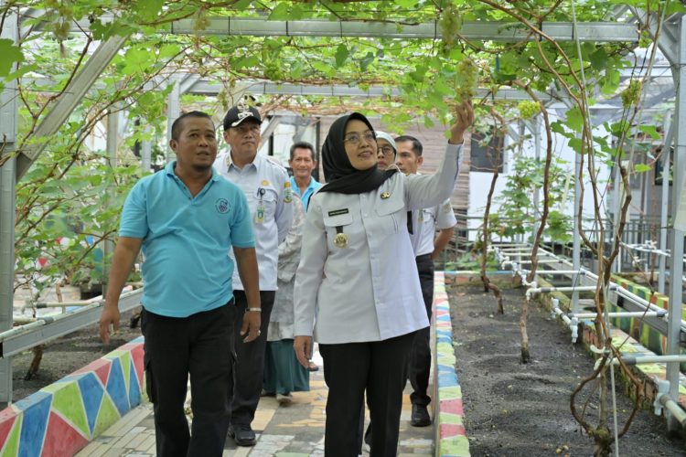 Sri Kunjungi Lokasi Calon Kampung Wisata Madu dan Anggur di Kota Jambi. (Foto : ist)