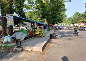 Foto : Yendri - sinarjambi.com