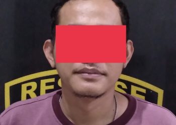 Gelapkan Motor, Warga Jelutung Diamankan Polisi. (Foto : ist)