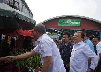 Gubernur Al Haris Dampingi Mendag Zulhas Tinjau Pasar Talang Banjar Kota Jambi. (Foto : ist)