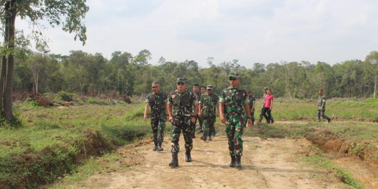 Danrem Gapu Cek Lahan Ketahanan Pangan Terpadu Kodim 0420/Sarko. (Foto : ist)