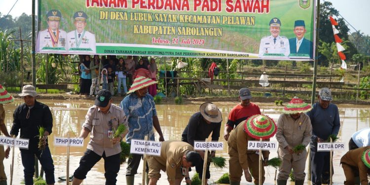 Gubernur Al Haris: Menanam Padi Aksi Nyata Perkuat Ketahanan Pangan. (Foto : ist)