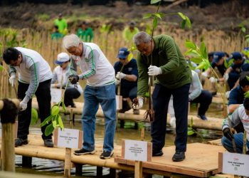 50 Tahun Hadir di Indonesia, Yamaha Motor Indonesia Upayakan Reduksi Emisi Karbon Melalui CSR Penanaman Mangrove di Berbagai Daerah. (Foto : ist)