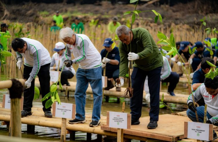 50 Tahun Hadir di Indonesia, Yamaha Motor Indonesia Upayakan Reduksi Emisi Karbon Melalui CSR Penanaman Mangrove di Berbagai Daerah. (Foto : ist)