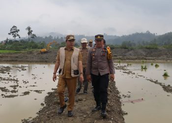 Lahan Eks PETI Seluas 355 Hektar di Merangin Akan Jadi Sawah. (Foto : ist)