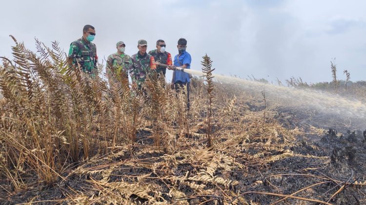 Dua Hari Danrem Gapu Terjun Pimpin Satgas Karhutla di HLG Londrang. (Foto : ist)