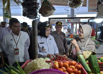 Terendah Se Provinsi Jambi dan di Bawah Nasional, Kota Jambi Alami Deflasi. (Foto : ist)