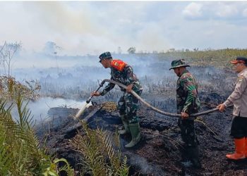 Danrem Gapu Terjun Padamkan Kebakaran di Areal Hutan Lahan Gambut (HLG) Desa Rantau Panjang. (Foto : ist)