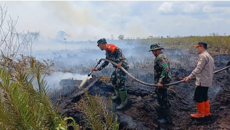 Danrem Gapu Terjun Padamkan Kebakaran di Areal Hutan Lahan Gambut (HLG) Desa Rantau Panjang. (Foto : ist)