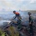 Danrem Gapu Terjun Padamkan Kebakaran di Areal Hutan Lahan Gambut (HLG) Desa Rantau Panjang. (Foto : ist)