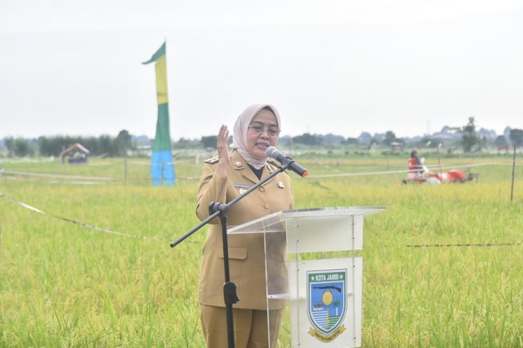 Panen Padi Bersama Warga, Pj Wali Kota Apresiasi Kelompok Tani Tingkatkan Produksi Komoditas Penyumbang Inflasi. (Foto : ist)