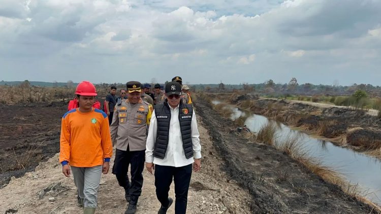 DPRD Jambi dan Perkumpulan Hijau Dorong Polda Jambi Proses Hukum Karhutla di Konsesi PT AMM. (Foto : ist)