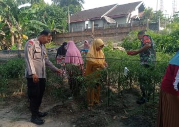 Polresta Jambi Cek Lahan Tidur untuk Ketahanan Pangan. (Foto : ist)