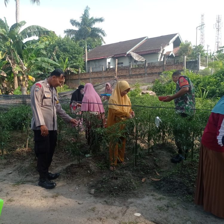 Polresta Jambi Cek Lahan Tidur untuk Ketahanan Pangan. (Foto : ist)