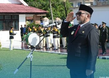 Pjs Gubernur Sudirman Harap Generasi Muda Teladani dan Tanamkan nilai-nilai Kepahlawanan. (Foto : ist)