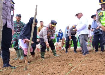 Dukung Asta Cita Presiden, Wakapolda Jambi Tanam Bibit Jagung di Bungo. (Foto : ist)