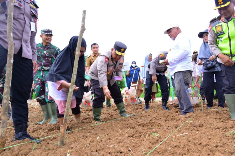 Dukung Asta Cita Presiden, Wakapolda Jambi Tanam Bibit Jagung di Bungo. (Foto : ist)